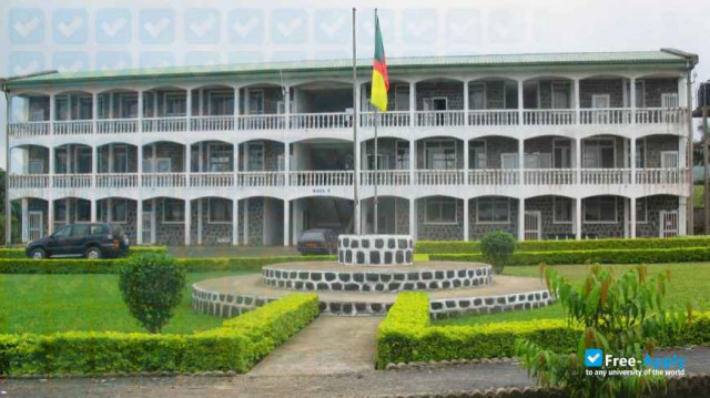 Catholic University Institute of Buea photo