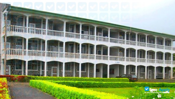 Foto de la Catholic University Institute of Buea #10