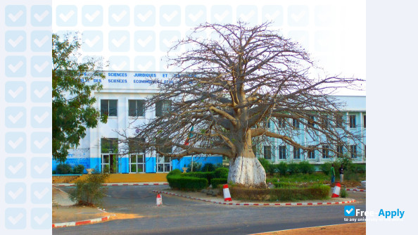 The Institute of Fine Arts Cheikh Anta Diop photo #5