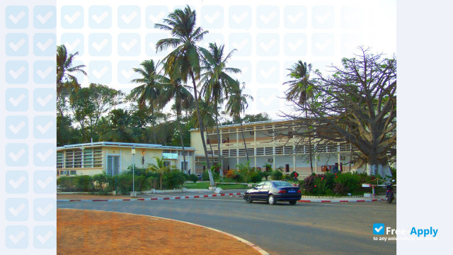 The Institute of Fine Arts Cheikh Anta Diop photo #3