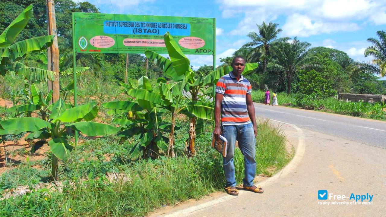 Higher Institute of Agricultural Techniques of Ombessa photo #2