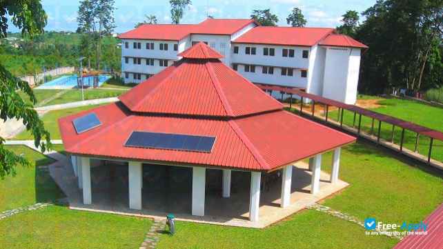 Higher Institute of Tecnology and Managment of Central Africa photo #4