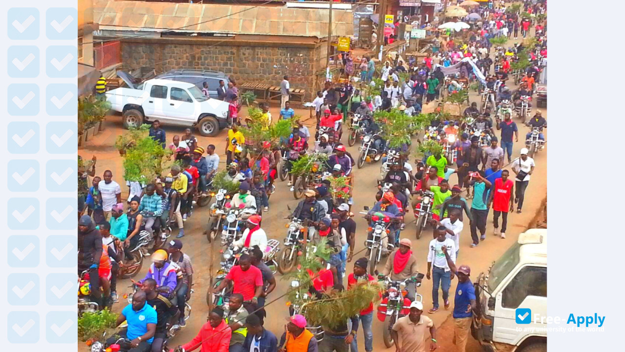 International University, Bamenda photo #2