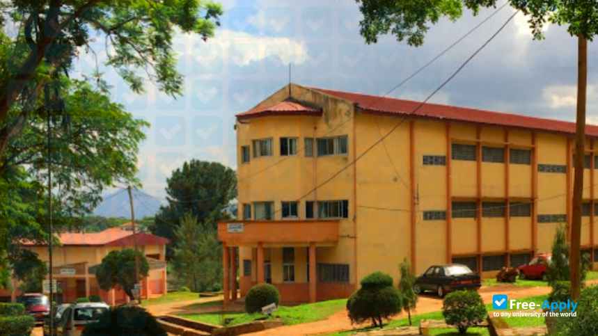 The Protestant University of Central Africa photo #2