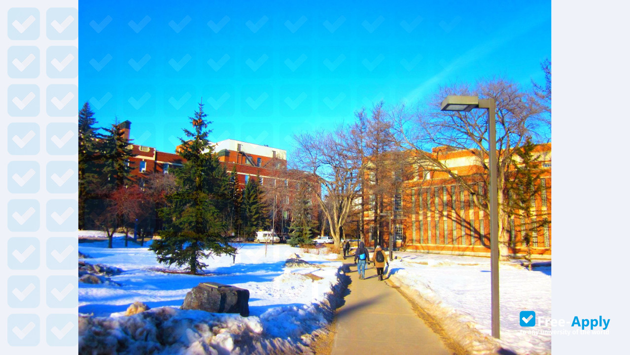 University of Alberta фотография №9
