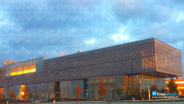 McMaster University photo #8