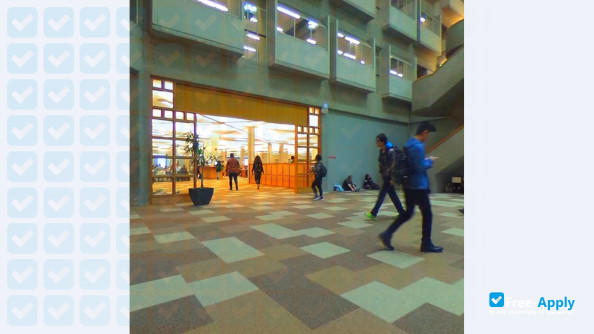 York University photo #1