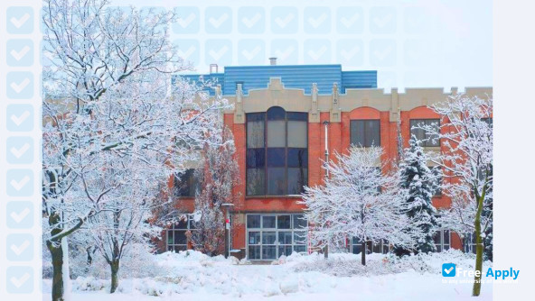 York University photo #7