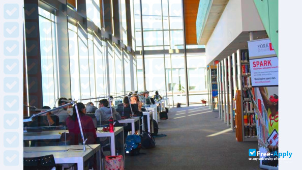York University photo #3