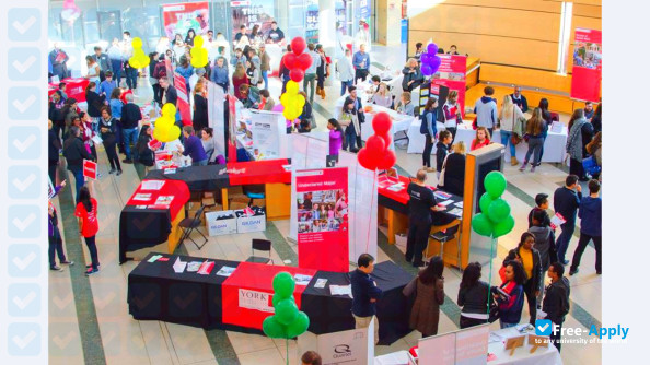 York University photo #9