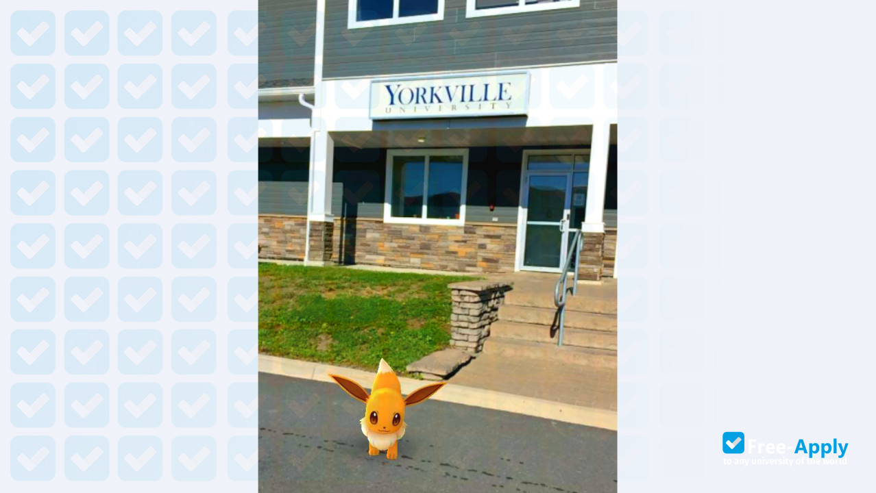 Foto de la Yorkville University #8