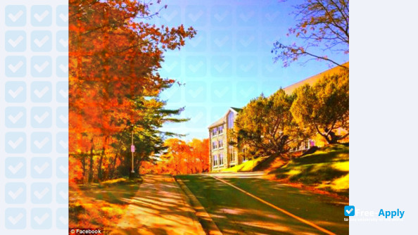 Foto de la Mount Saint Vincent University #5