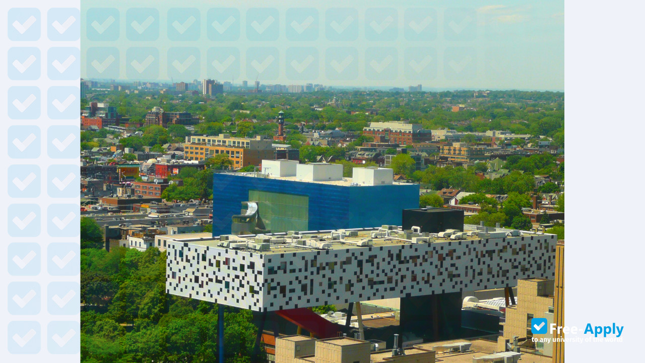 OCAD University фотография №6