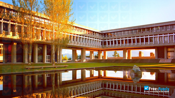 Simon Fraser University - Burnaby Mountain Campus photo #11