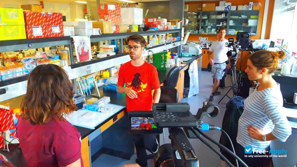 National Institute for Scientific Research photo #11