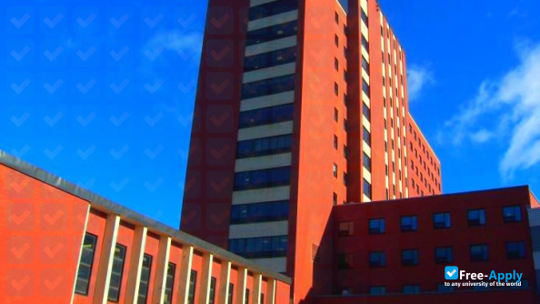 Centre for Nursing Studies фотография №3