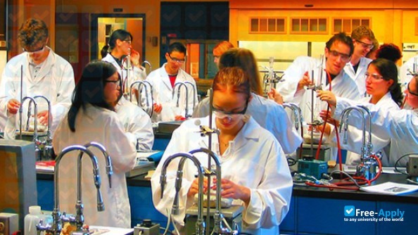 Collège de Bois de Boulogne photo #2