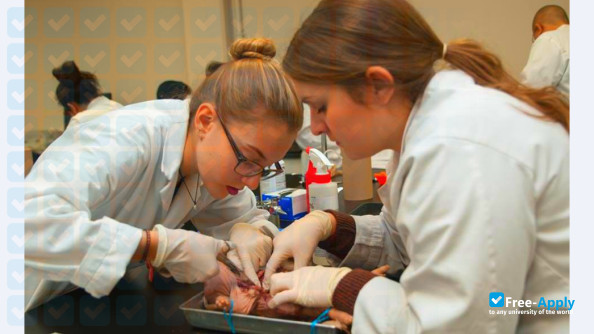 Collège de Maisonneuve photo #5