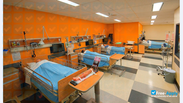 Collège de Maisonneuve photo #3