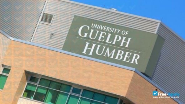 University of Guelph Humber photo #7