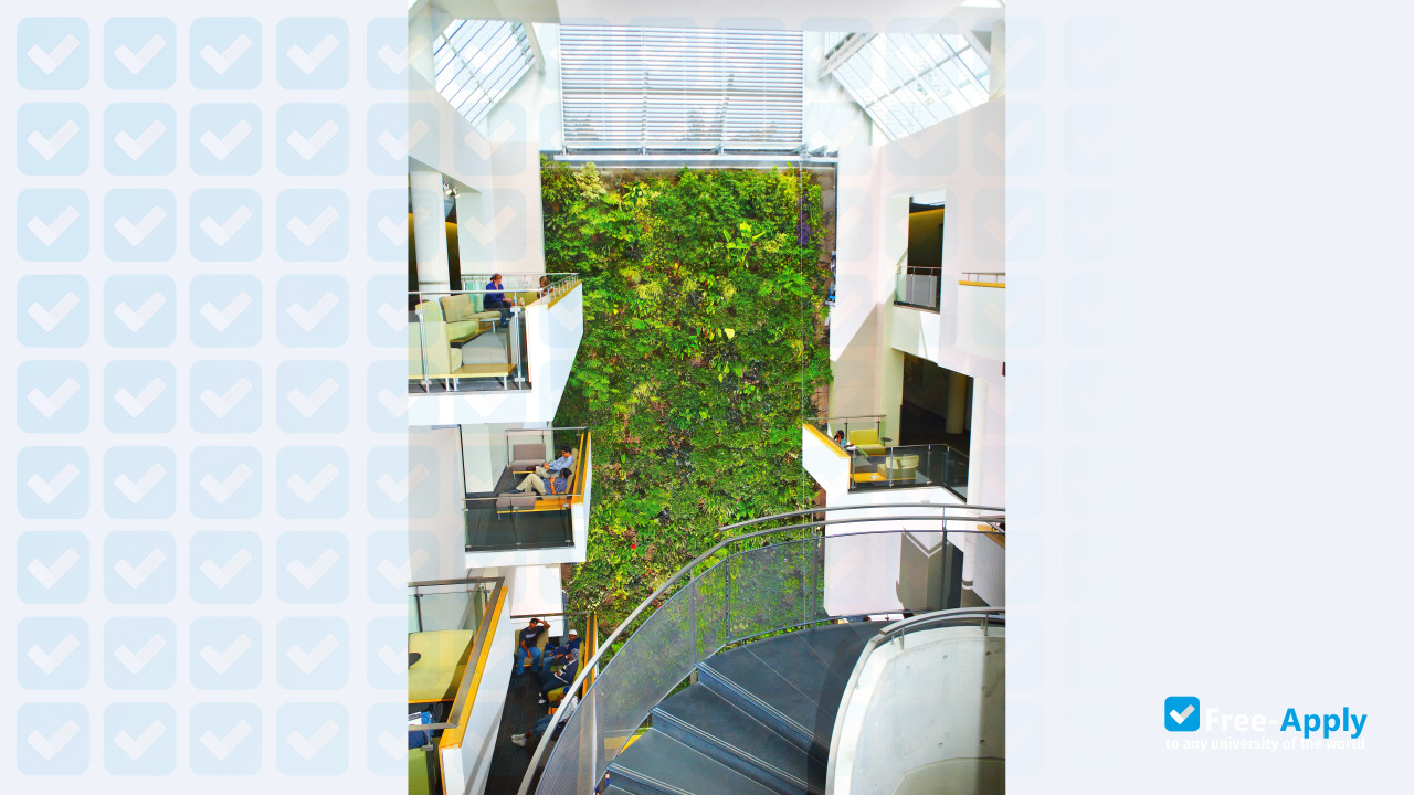 University of Guelph Humber photo #9