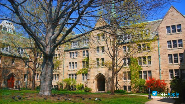 Foto de la University of St Michael's College #6
