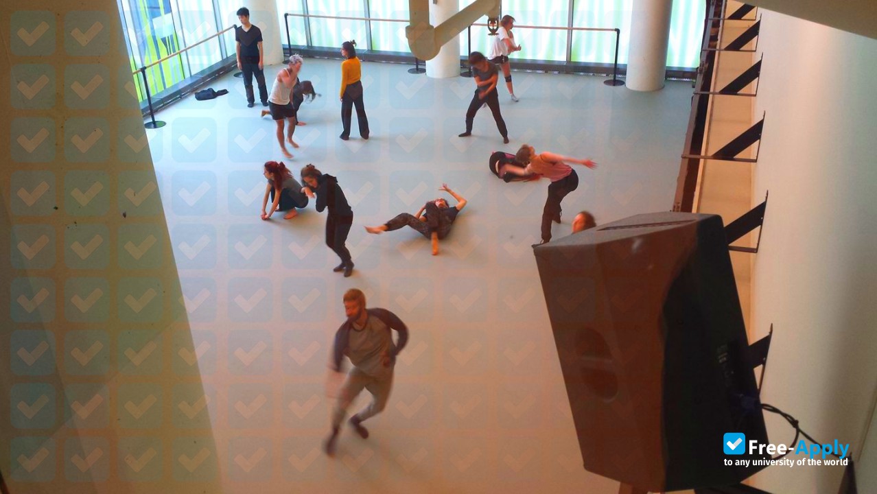 École de danse contemporaine de Montréal photo #2