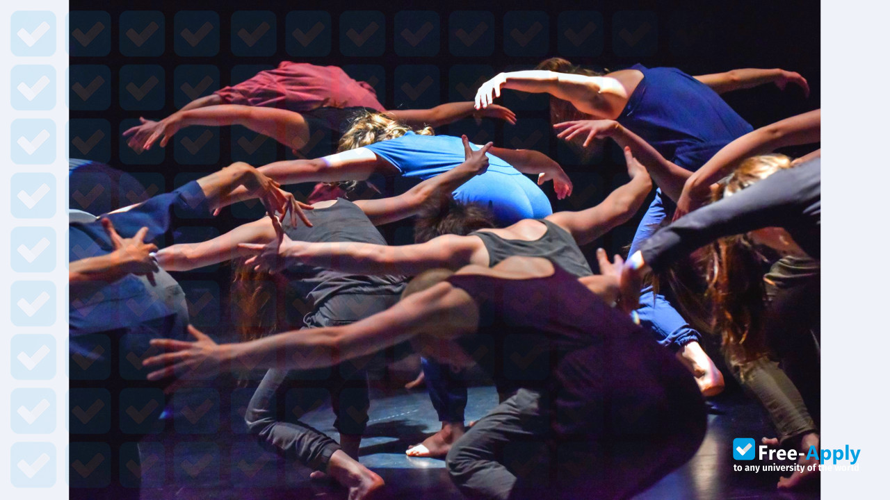 École de danse contemporaine de Montréal photo #10