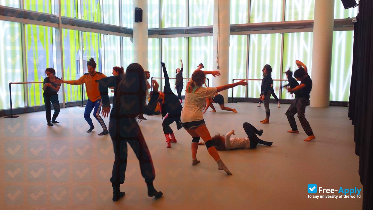 École de danse contemporaine de Montréal photo #6