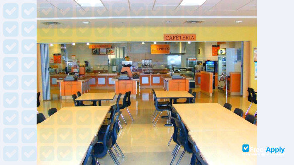 École de musique Vincent-d'Indy photo #5