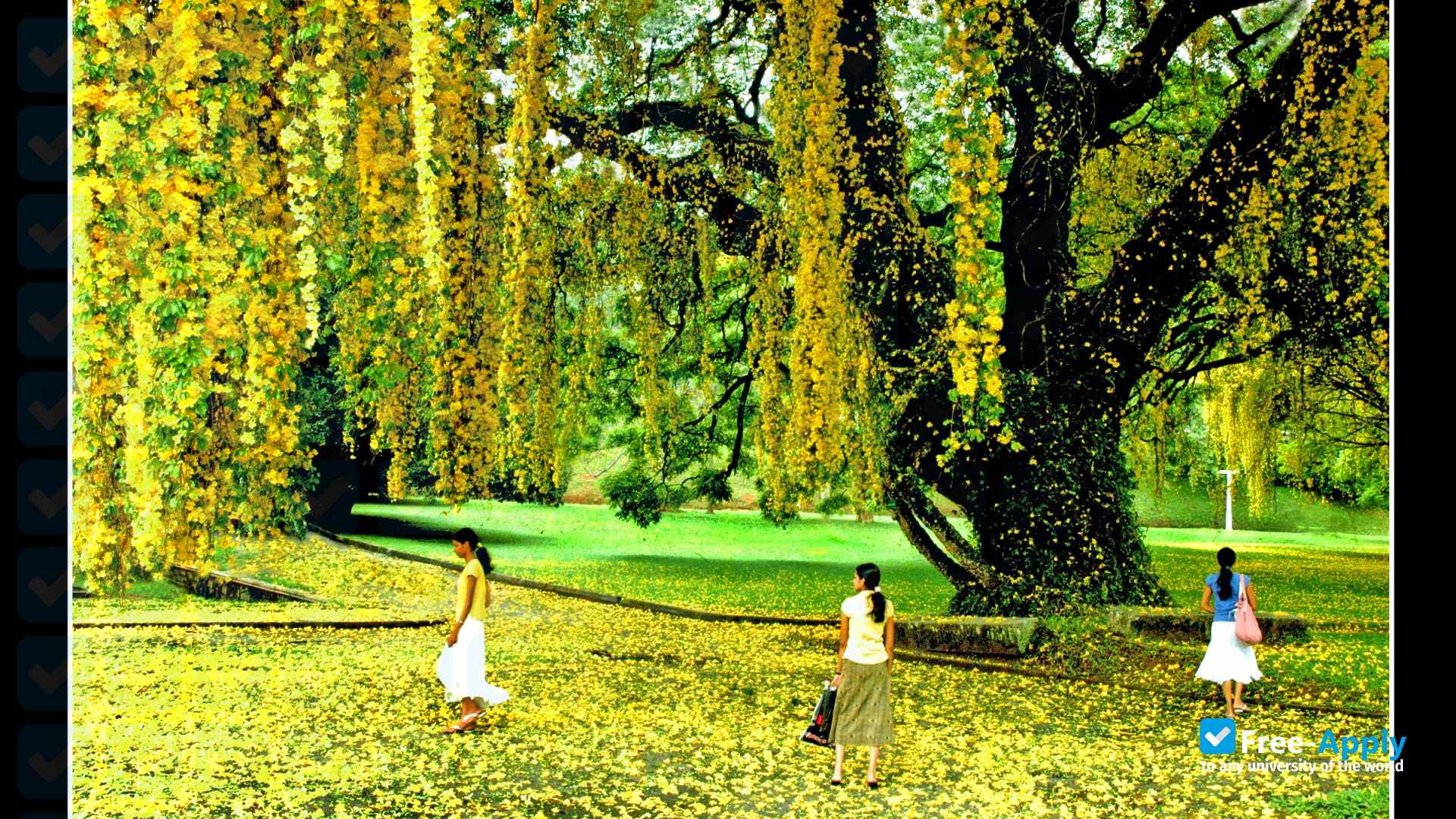 Foto de la Postgraduate Institute of Agriculture (PGIA) #5