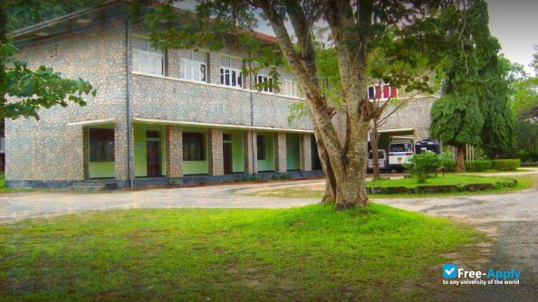 Hardy University College Ampara фотография №8