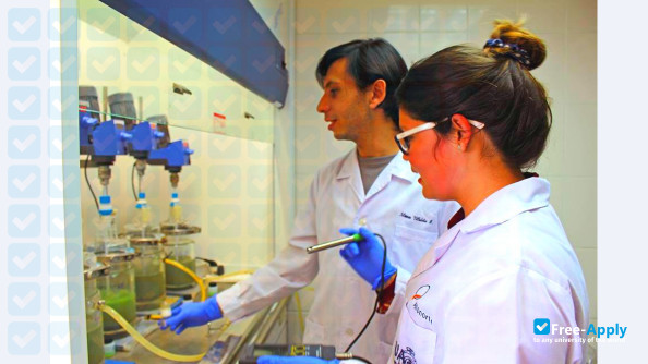Foto de la University of Antofagasta #9
