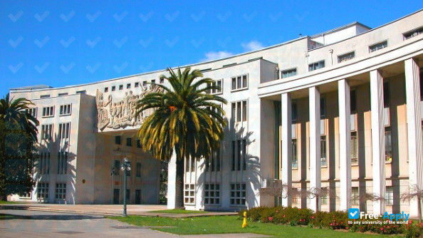 Foto de la University of Concepcion #4