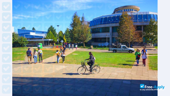 Catholic University of Temuco photo #7