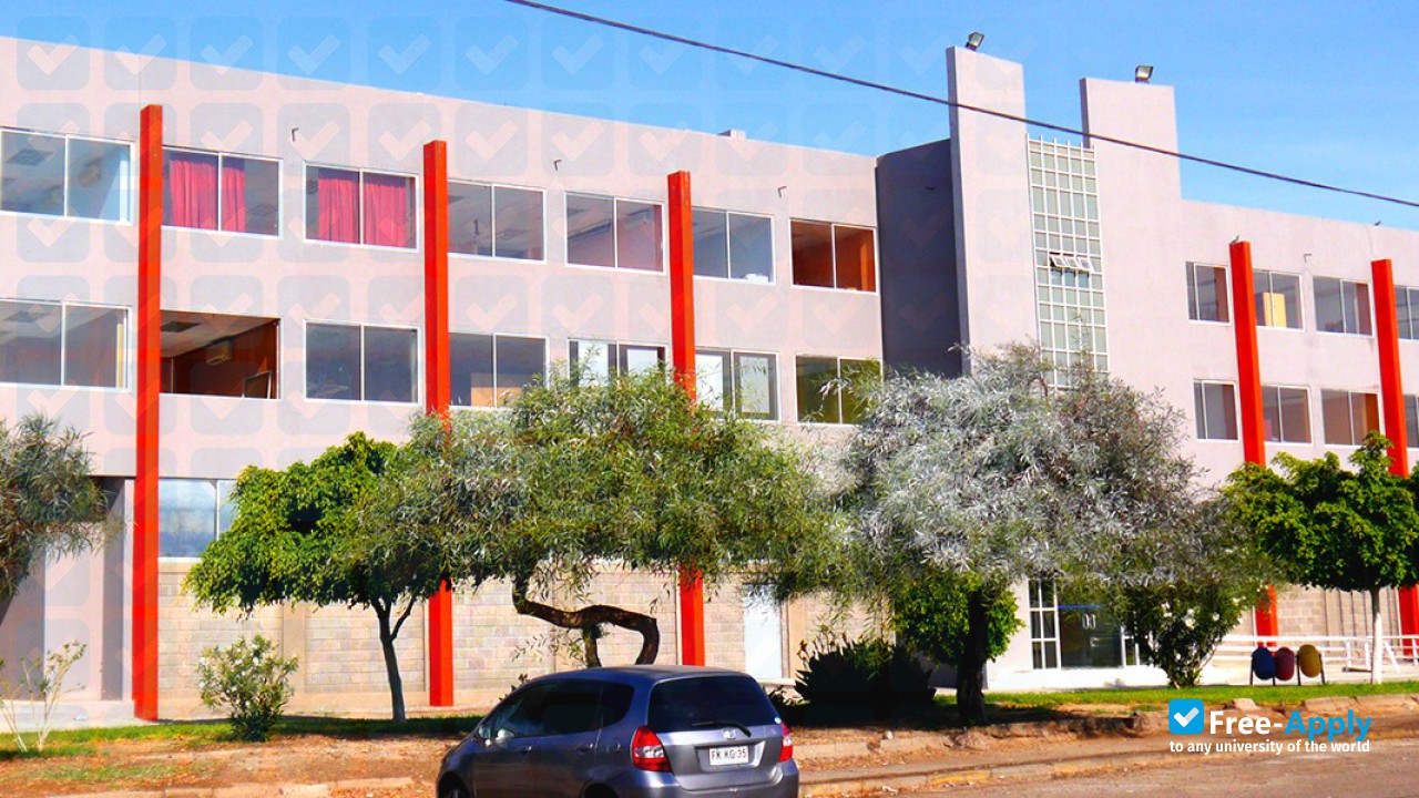 University of Tarapacá photo #10