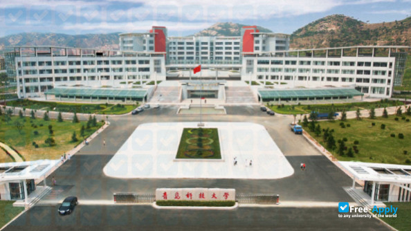 Photo de l’Qingdao University of Science & Technology #9