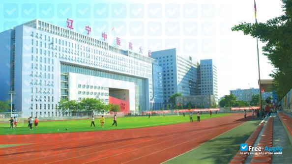 Photo de l’Liaoning University of Traditional Chinese Medicine