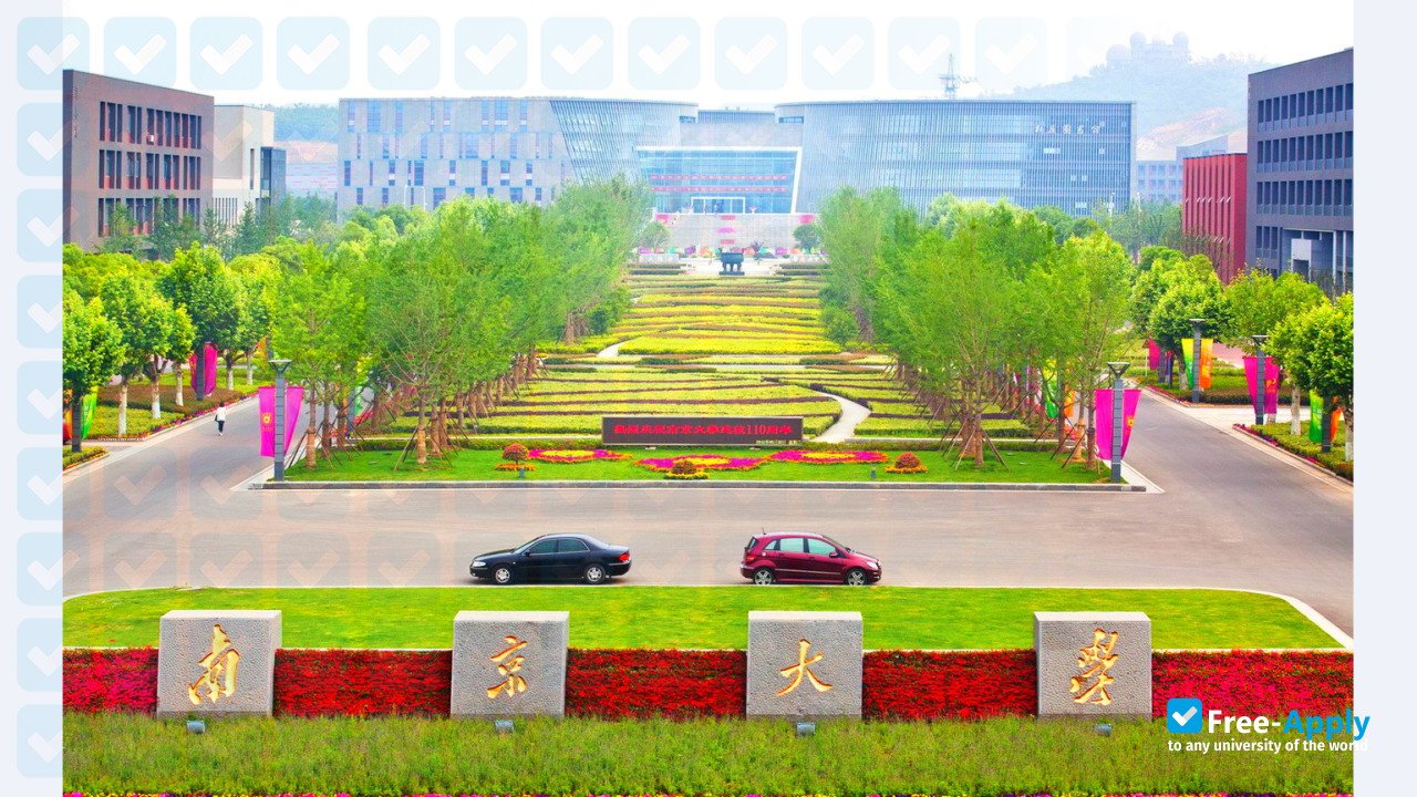 Nanjing University photo #8