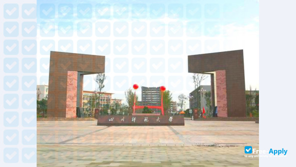 Photo de l’Sichuan Normal University #5
