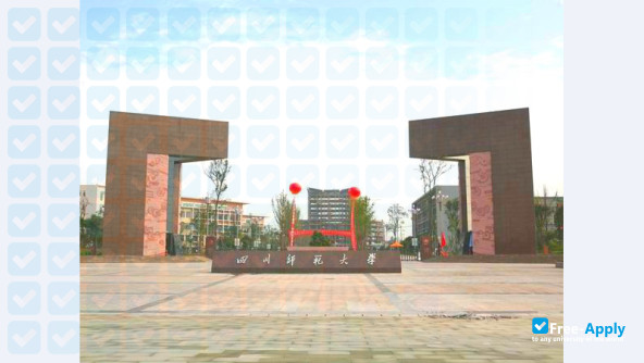 Foto de la Sichuan Normal University #5