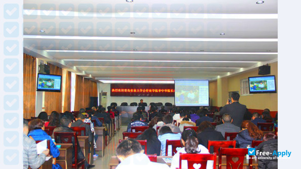 Quingdao Agricultural University (Laiyang Agricultural College) photo #3