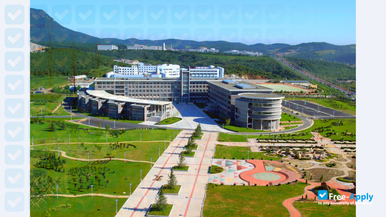 Dalian University of Technology photo #5