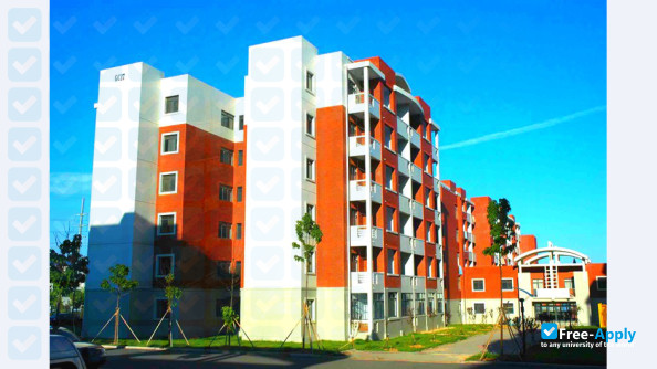 Shandong University of Science & Technology фотография №2