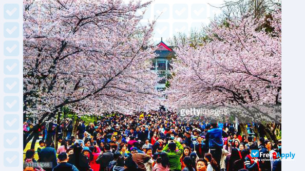 Nanjing Forestry University фотография №9