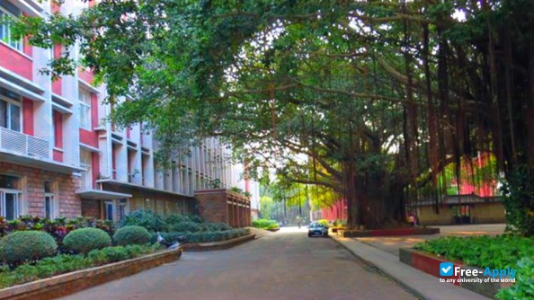 Lingnan Normal University photo #1