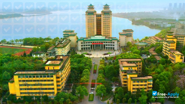 Foto de la South Central University for Nationalities #9