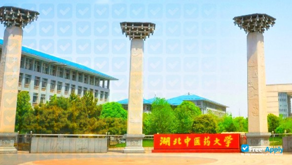 Photo de l’Hubei University of Chinese Medicine #6
