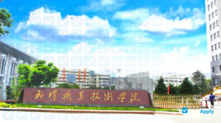 Wuhan Polytechnic миниатюра №8