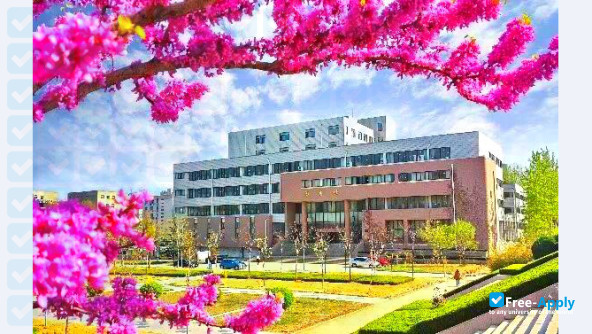 Foto de la Shandong Technology and Business University #4